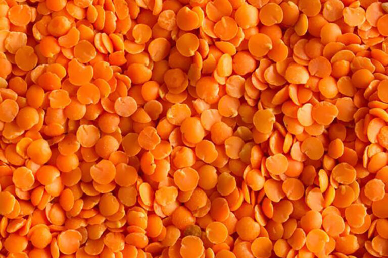 adauam - red lentils