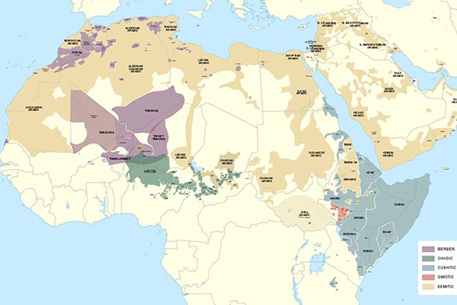 Afroasiatic Languages