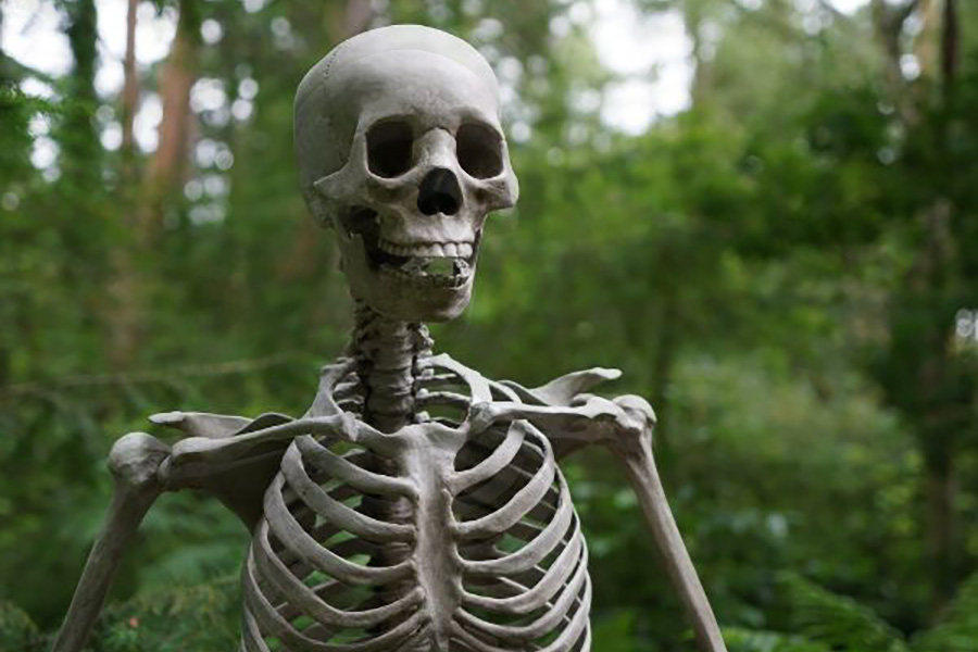 ātsam - bones