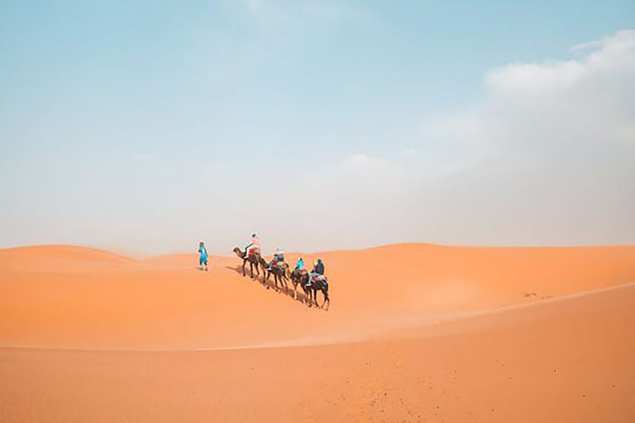 madabar - walk in desert